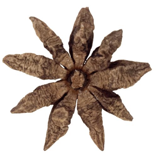 Product Star anise decoration craft items natural decoration dried anise 500g