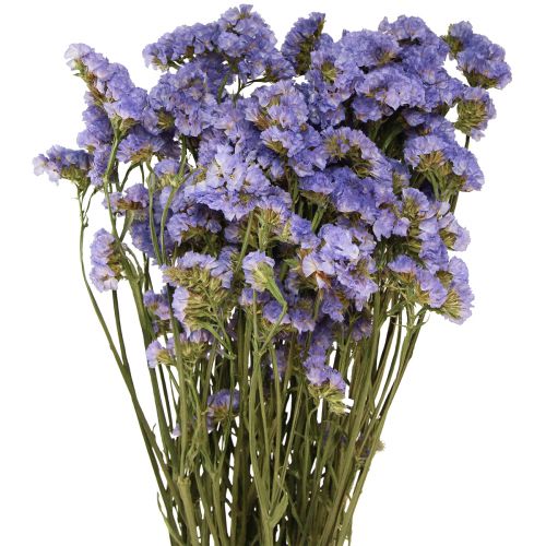 Floristik24 Sea Lilac Purple Statice Limonium sinuatum Dried Flowers 60cm 50g