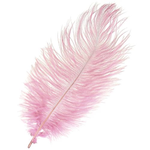Ostrich Feathers Real Feathers Decoration Pink 20-25cm 12 pcs