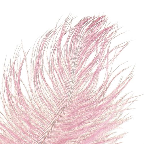 Product Ostrich Feathers Real Feathers Decoration Pink 20-25cm 12 pcs