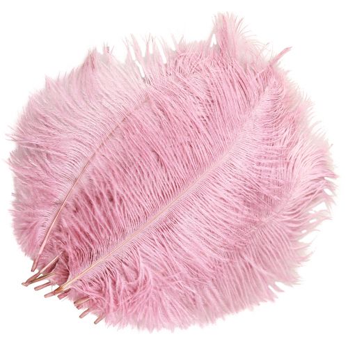 Product Ostrich Feathers Real Feathers Decoration Pink 20-25cm 12 pcs