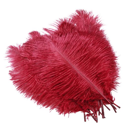 Product Ostrich Feathers Real Feathers Decoration Wine Red 20-25cm 12 pcs