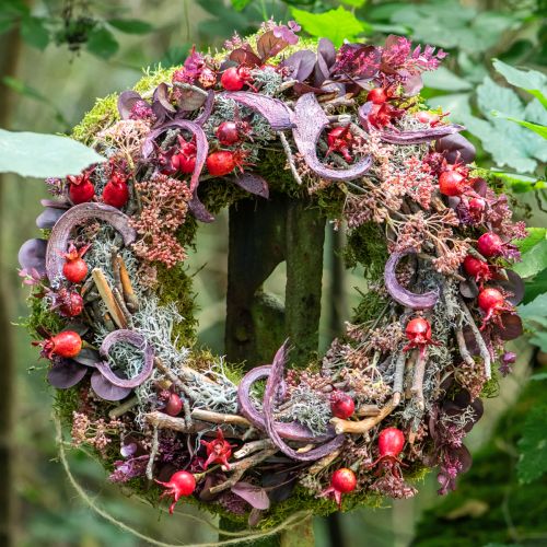 Product Straw wreath Ø35cm natural - decorative wreath for crafting &amp; Advent, set of 5