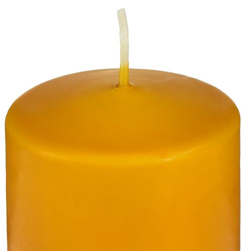 Floristik24 Pillar candle Wenzel candles PURE candles stearin honey 90x60mm
