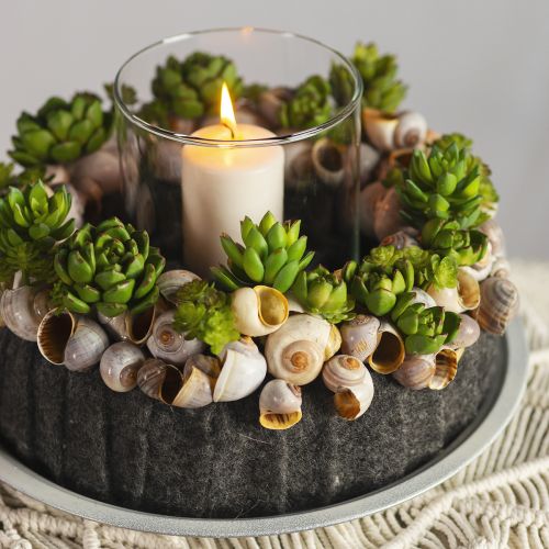 Floristik24 Succulent Echeveria Artificial Green Plant Green Ø5.5cm 12.5cm