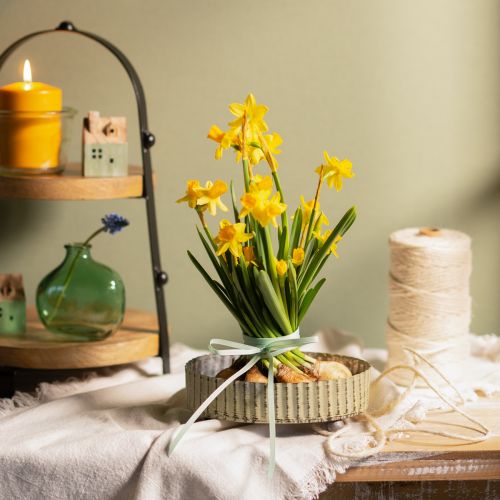 Floristik24 Tray for decorating, candle tray oval, metal decoration silver, green shabby chic L25/22/18cm H6cm set of 3