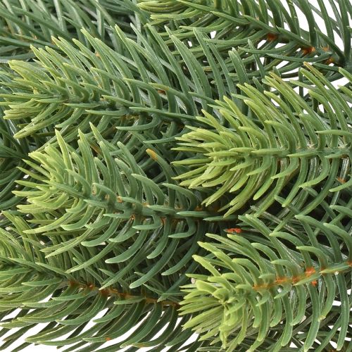 Product Artificial fir wreath, green, Ø30cm - Christmas decoration, door wreath, Advent wreath, table decoration, easy to care for
