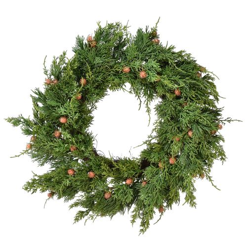 Floristik24 Fir wreath Thuja with buds base vine wreath Ø50cm