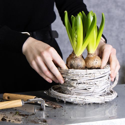 Product Teacup made of natural material with rustic charm for exclusive indoor decoration 13cm