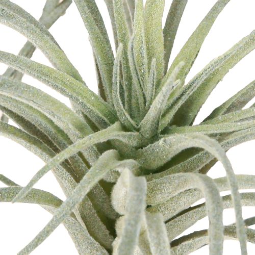 Product Tillandsia succulent artificial green plants 13cm