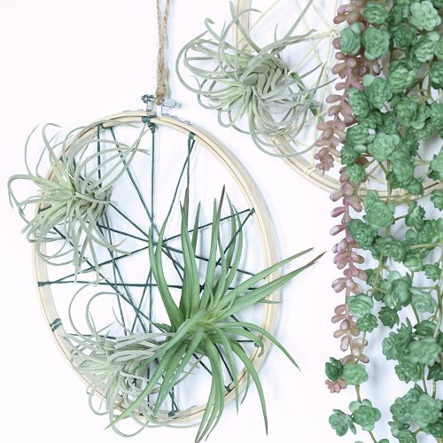 Product Tillandsia succulent artificial green plants 13cm