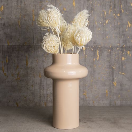 Product Dried flowers cream fennel bleached 45cm bunch 10 pcs