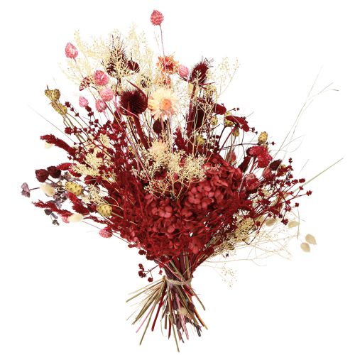 Product Dried flower bouquet, wine red, decorative thistle, 40cm, 80g
