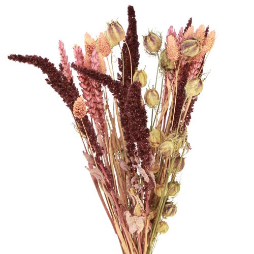 Dried flower bouquet grain nigella pink orange 50cm