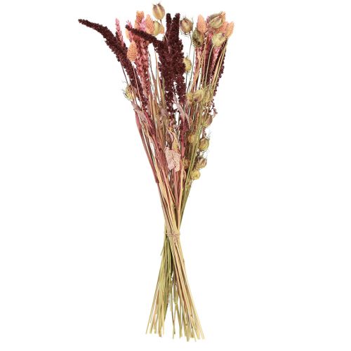 Floristik24 Dried flower bouquet grain nigella pink orange 50cm