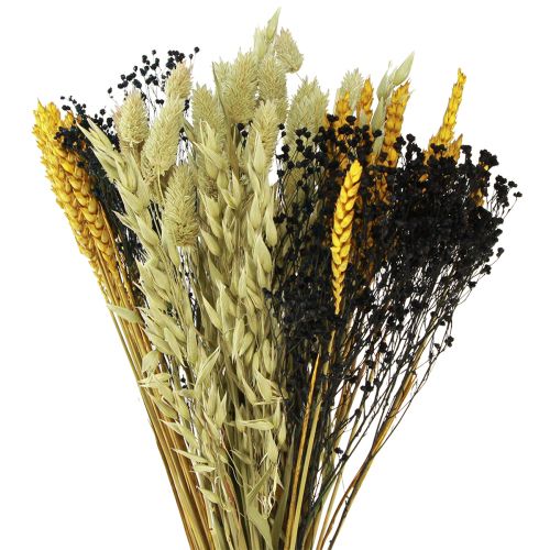 Floristik24 Dried flower bouquet grain dried bouquet yellow blue 50cm