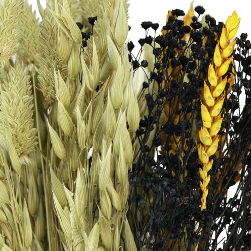 Floristik24 Dried flower bouquet grain dried bouquet yellow blue 50cm