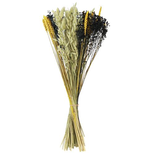 Floristik24 Dried flower bouquet grain dried bouquet yellow blue 50cm