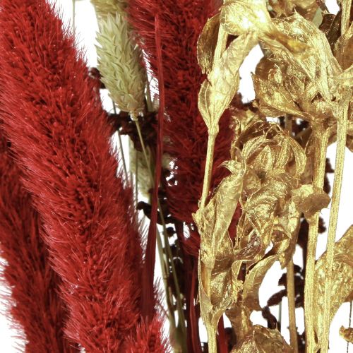 Floristik24 Dried flower bouquet grain dried bouquet red gold 50cm