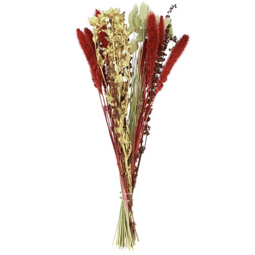 Floristik24 Dried flower bouquet grain dried bouquet red gold 50cm