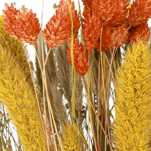 Floristik24 Dried flower bouquet with grain orange yellow 50cm