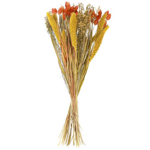 Floristik24 Dried flower bouquet with grain orange yellow 50cm