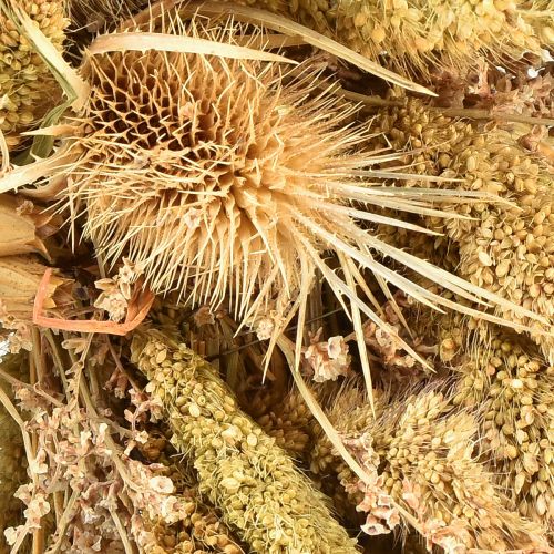 Product Decorative dried wreath with teasels and millet in yellow-olive green, natural country style, Ø28cm, versatile wall and table decoration
