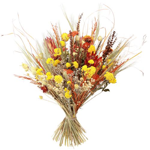 Product Decorative dried bouquet "Thistle & Yarrow" Orange-Natural in Bleached, 55cm, 150g - Country House Style