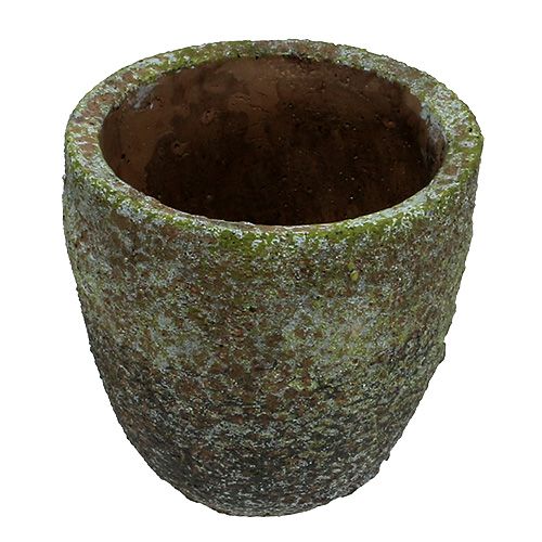 Floristik24 Planter with moss Ø16cm H16cm 1p