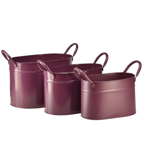 Floristik24 Planter metal oval plant pot purple 24/21/18cm set of 3