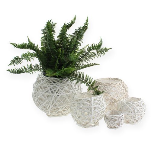 Floristik24 Wicker basket with white foil