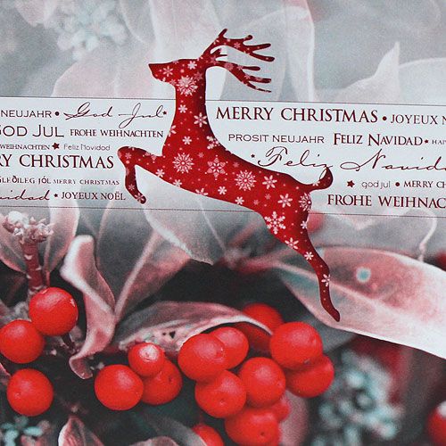 Floristik24 Christmas cards 12.5x12.5cm 6pcs