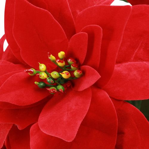 Product Christmas Star Red Artificial L55cm 2pcs