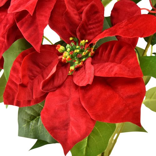 Product Christmas Star Artificial Poinsettia Red Green L57cm