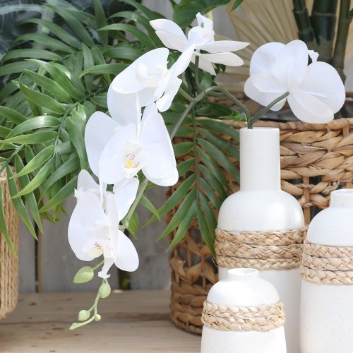 Product White Orchid Artificial Phalaenopsis Real Touch H83cm