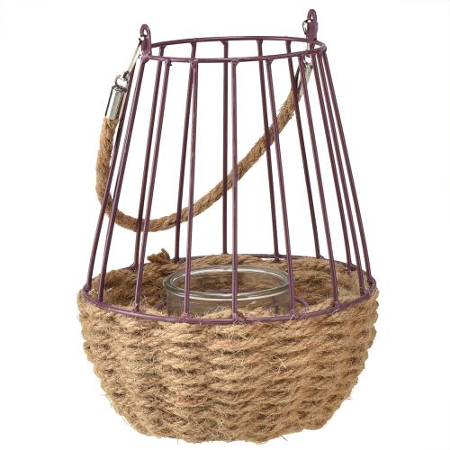Floristik24 Lantern with handle and glass purple natural Ø18cm H22cm