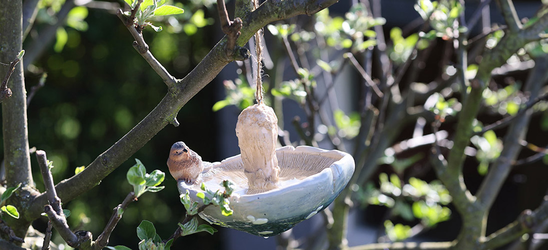 Decorations for hanging