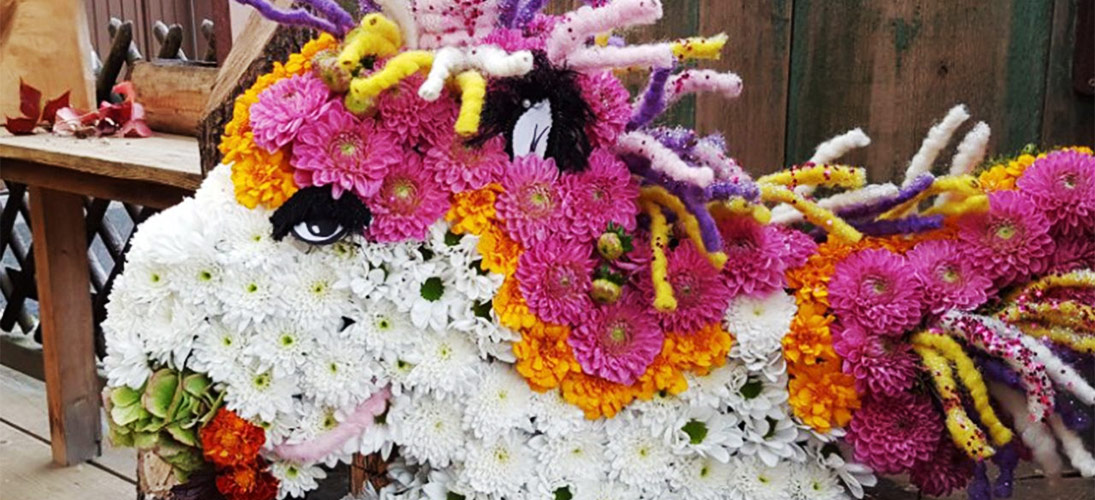 Floral foam Special shapes