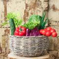 Artificial red cabbage Real-Touch Ø12cm | Floristik24.ie
