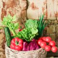 Iceberg lettuce artificial Real-Touch Ø12cm | Floristik24.ie