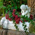Sweetgum cones red frosted 250g | Floristik24.ie