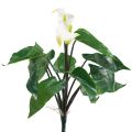 Floristik24 Calla Lily Kalla Artificial Flowers White Exotic Flowers 34cm