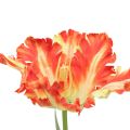 Floristik24 Artificial flower parrot tulip artificial tulip orange 69cm