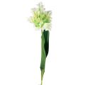 Floristik24 Artificial flower parrot tulip artificial tulip green white 69cm