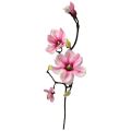 Floristik24 Artificial flower magnolia branch magnolia artificial pink 59cm