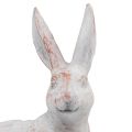 Floristik24 Rabbit sitting decorative rabbit artificial stone white brown 15.5x8.5x22cm