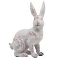 Floristik24 Rabbit sitting decorative rabbit artificial stone white brown 15.5x8.5x22cm