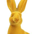 Floristik24 Easter bunny decoration rabbit figure curry Easter bunny pair 16cm 2pcs