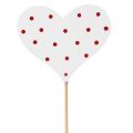 Floristik24 Hearts red and white dotted flower plugs wood 6×5cm 18pcs