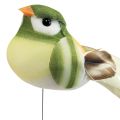 Floristik24 Feather bird on wire decorative bird with feathers green orange 4cm 12pcs